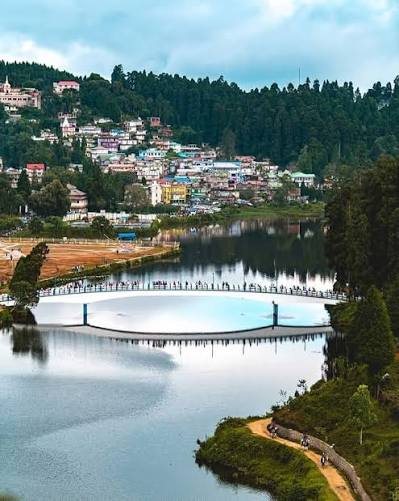 Lake Views and Tea Gardens Wrapped in Misty Serenity